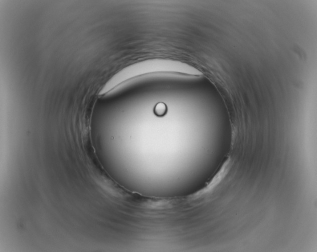 X0000114600186200911091325