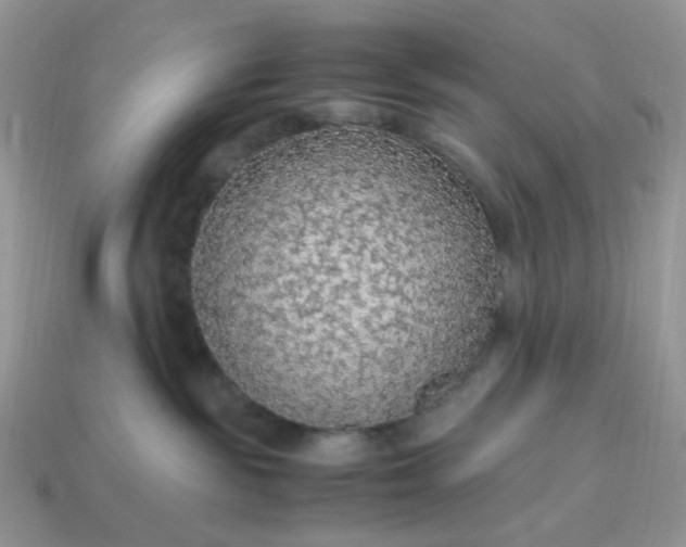 X0000114600189200911091325