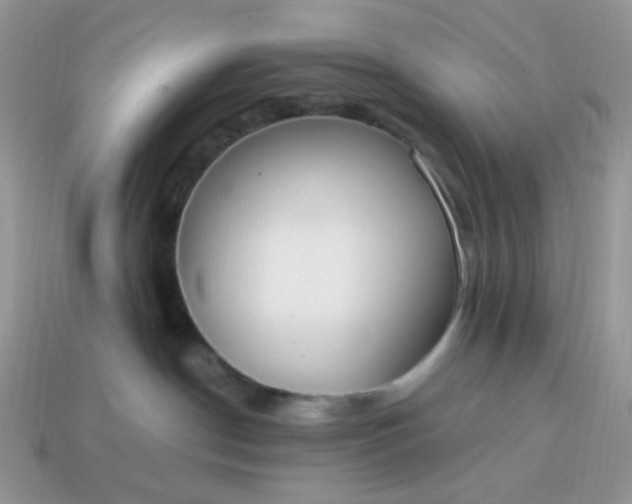 X0000114600190200911091325