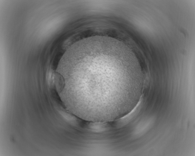 X0000114600191200911091325