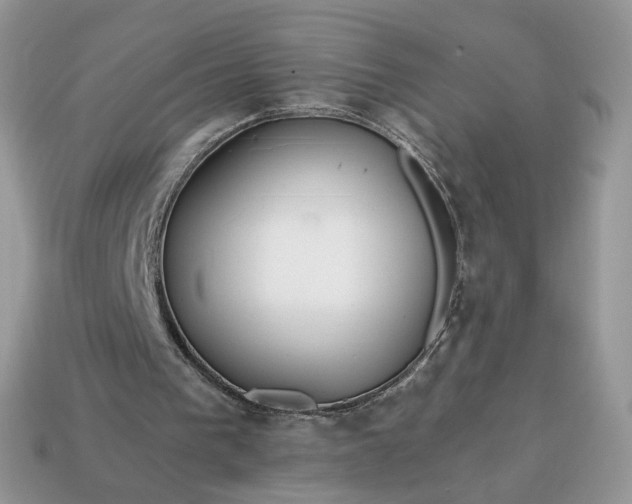 X0000114600193200911091324