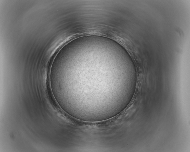 X0000114600194200911091324