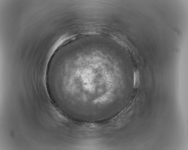 X0000114600195200911091324