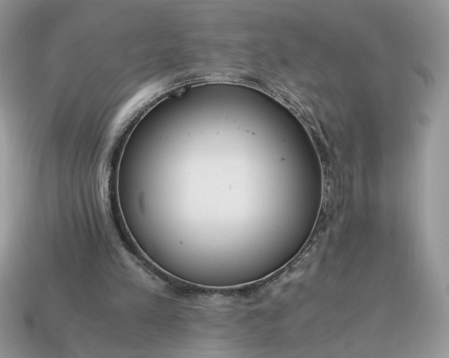 X0000114600197200911091324