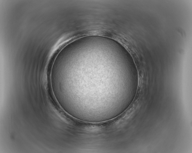 X0000114600198200911091324