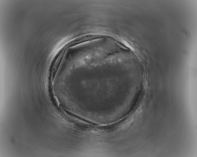 X0000114600199200911091324