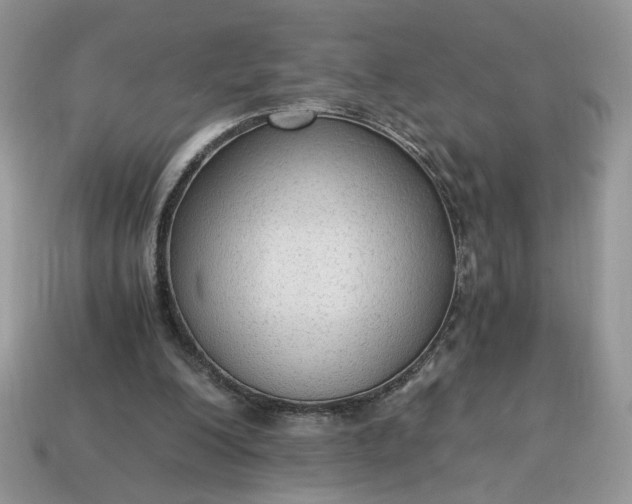 X0000114600200200911091324