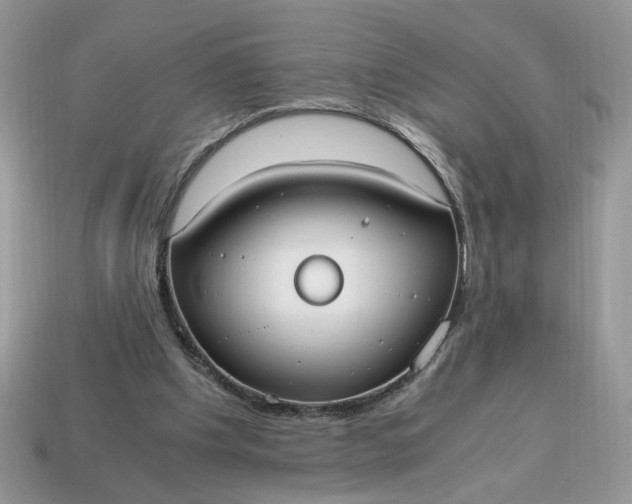 X0000114600201200911091324