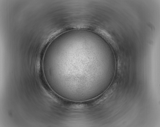 X0000114600202200911091324