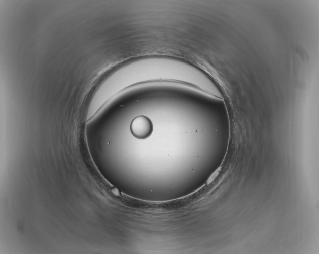 X0000114600203200911091324