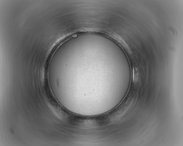 X0000114600204200911091324