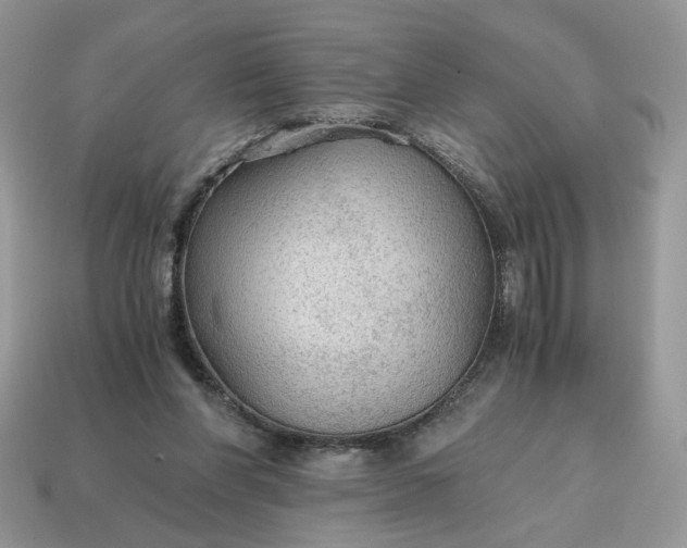 X0000114600206200911091324