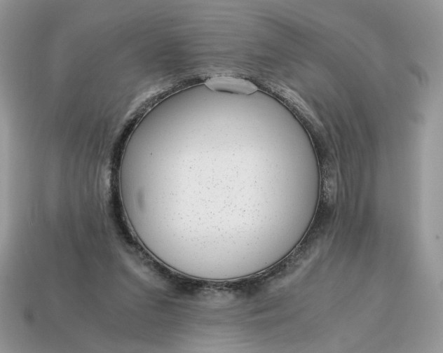 X0000114600207200911091324