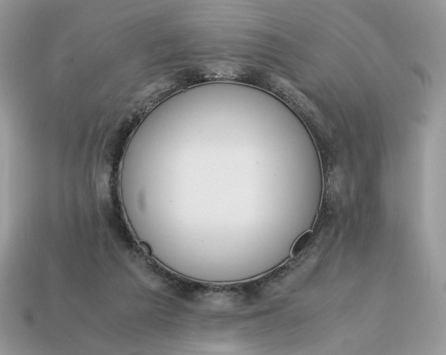 X0000114600209200911091324