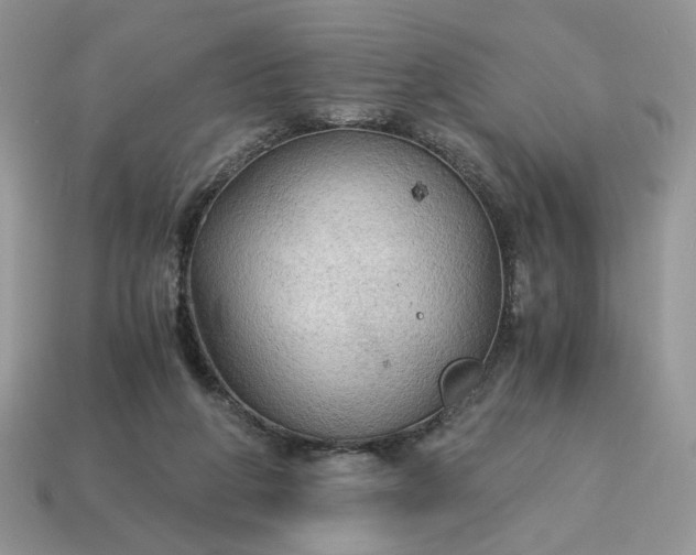 X0000114600210200911091324