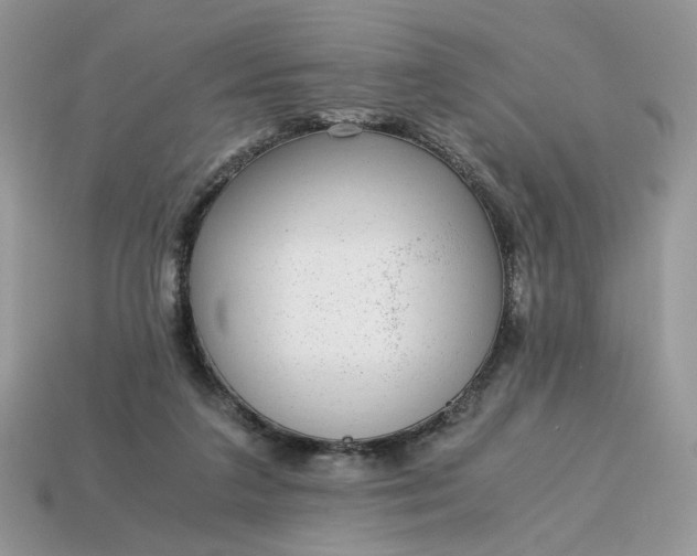 X0000114600211200911091324