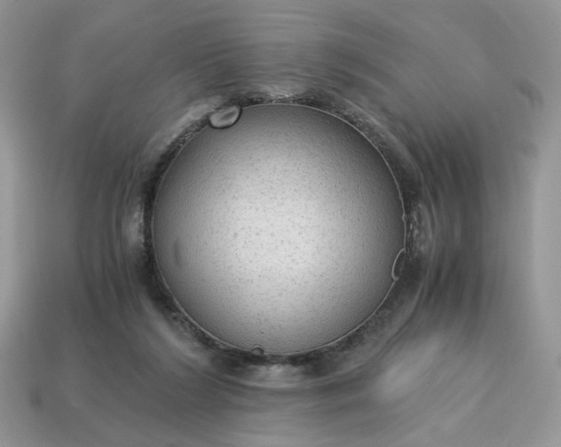 X0000114600212200911091324