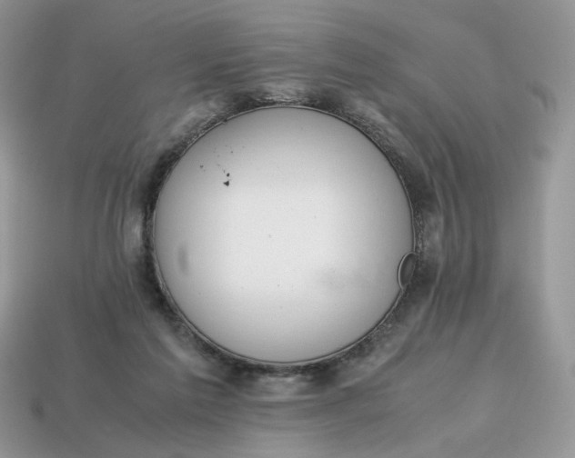 X0000114600213200911091324