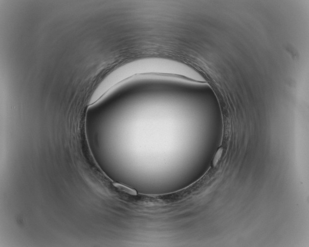 X0000114600215200911091324