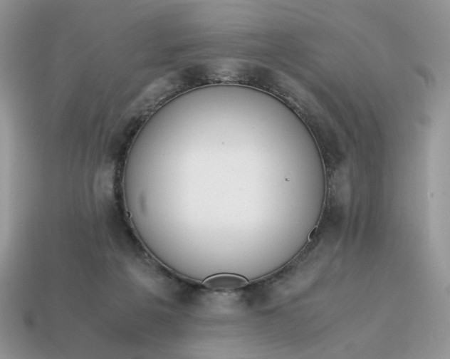 X0000114600217200911091324