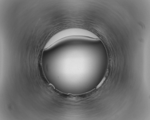 X0000114600221200911091324