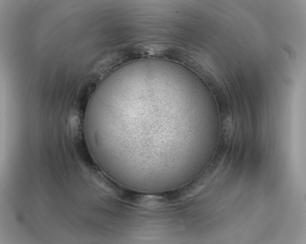 X0000114600222200911091324