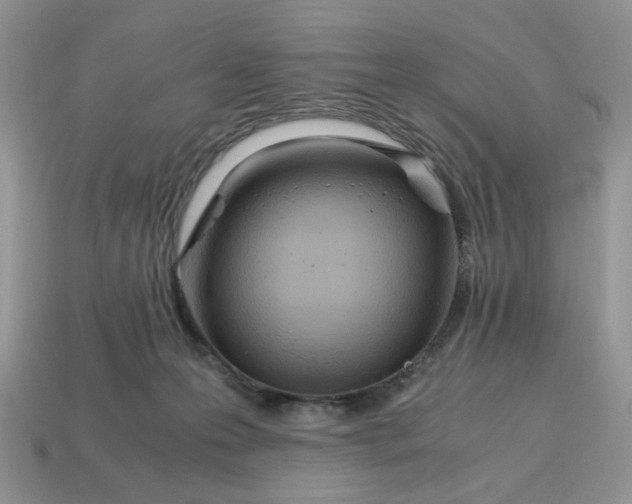 X0000114600223200911091324