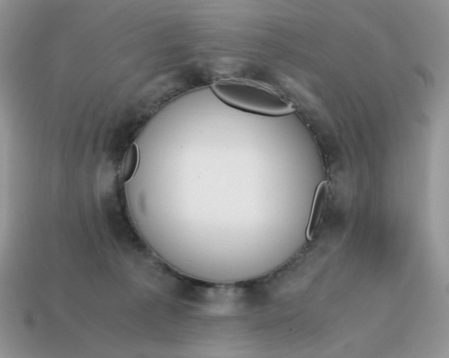 X0000114600225200911091324