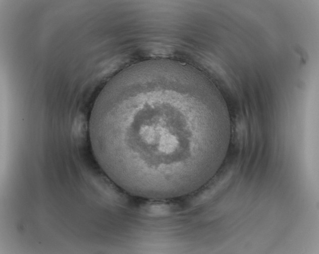 X0000114600228200911091324