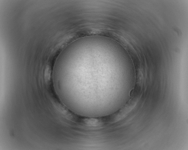 X0000114600230200911091324