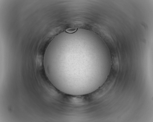 X0000114600232200911091324