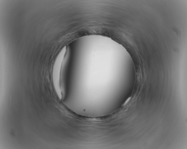 X0000114600233200911091324