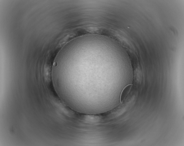 X0000114600234200911091324