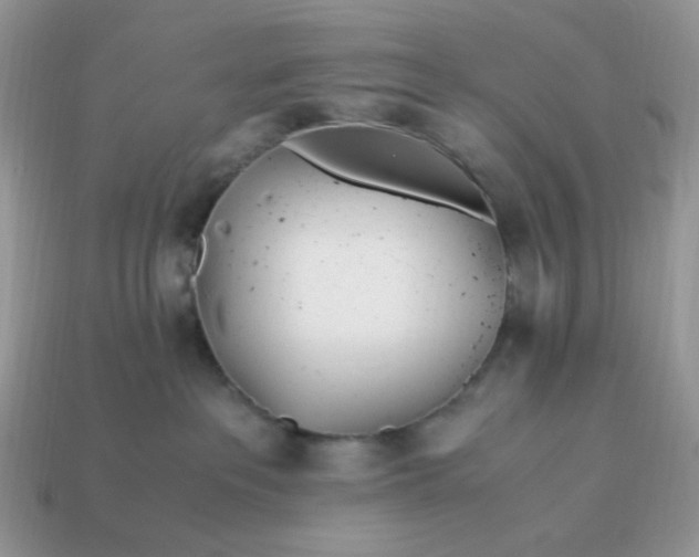 X0000114600237200911091324