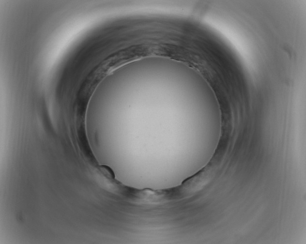 X0000114600239200911091324