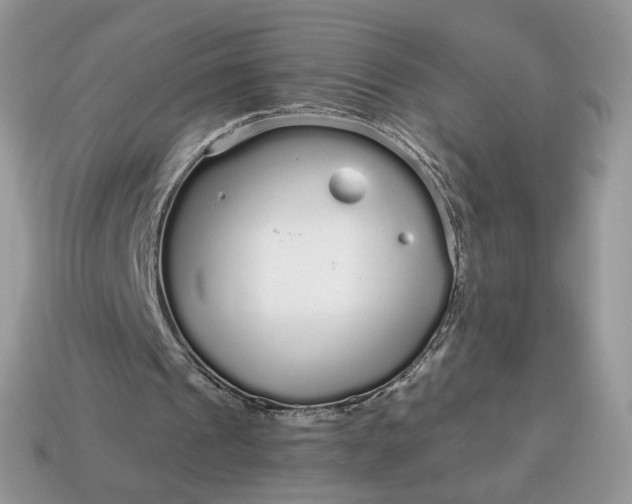 X0000114600241200911091323