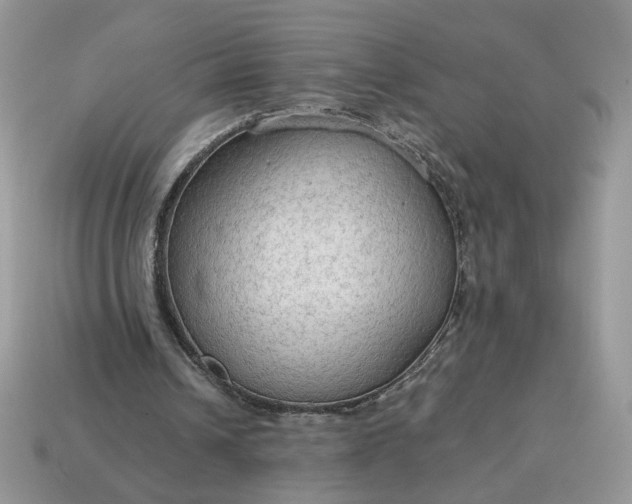 X0000114600242200911091323