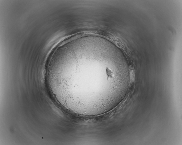 X0000114600243200911091323