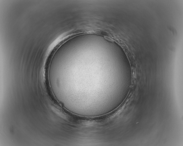 X0000114600246200911091323