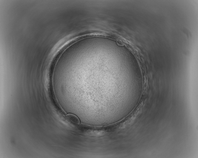 X0000114600247200911091323