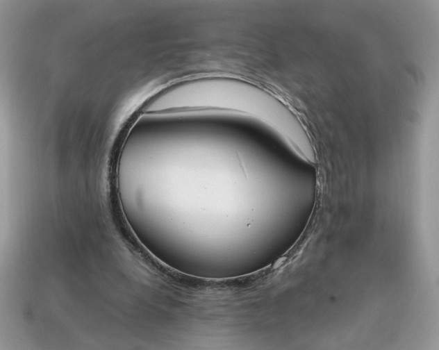 X0000114600248200911091323