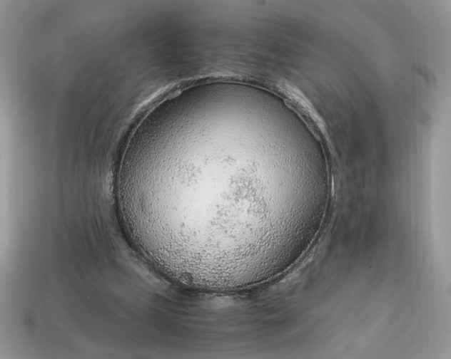 X0000114600249200911091323