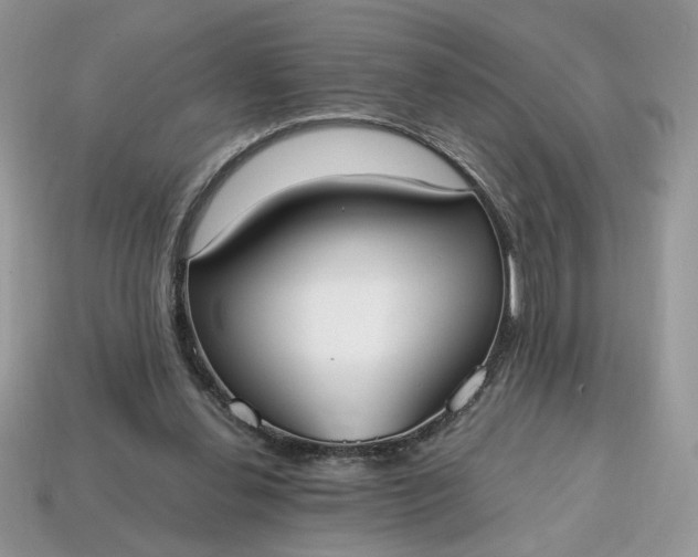 X0000114600252200911091323