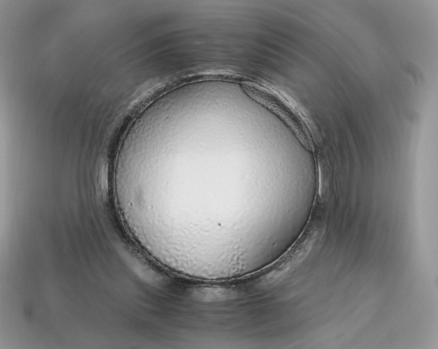 X0000114600253200911091323