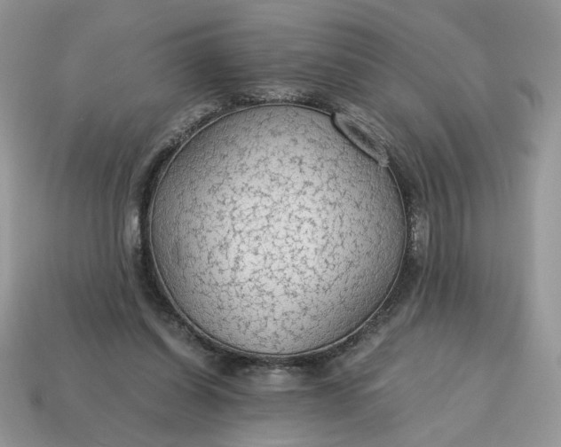 X0000114600254200911091323