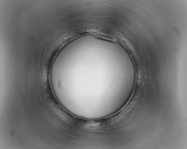 X0000114600257200911091323