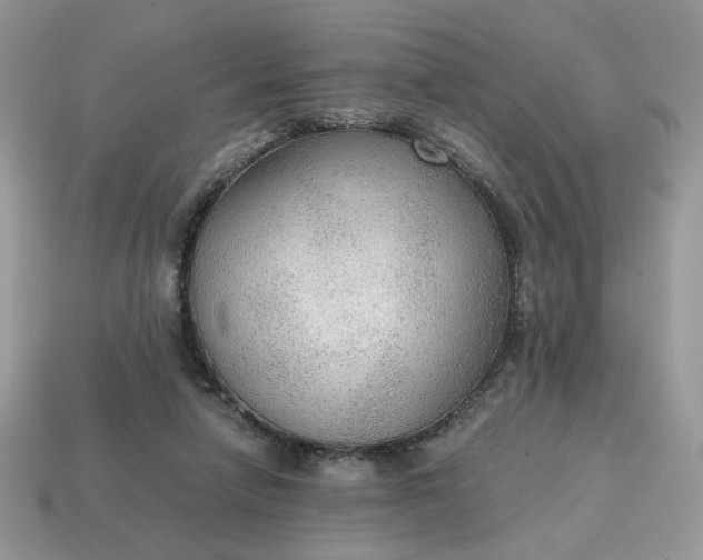 X0000114600258200911091323