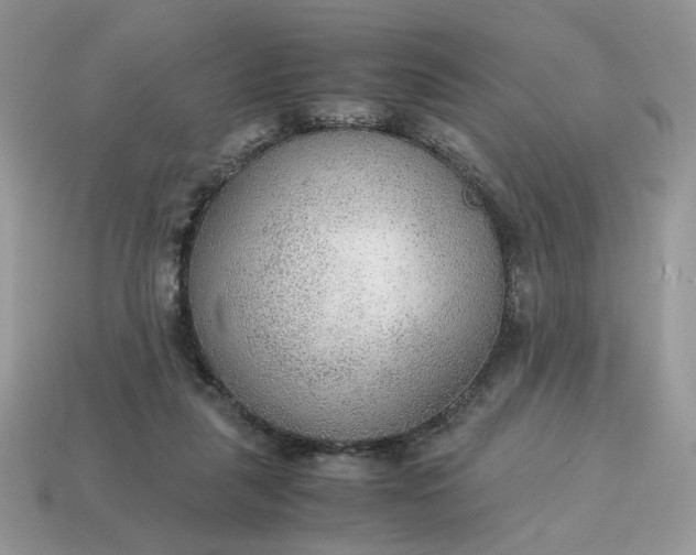 X0000114600259200911091323