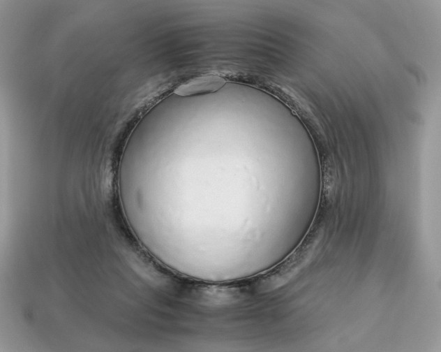 X0000114600261200911091323