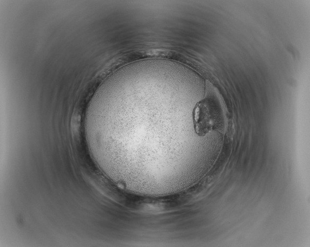 X0000114600263200911091323